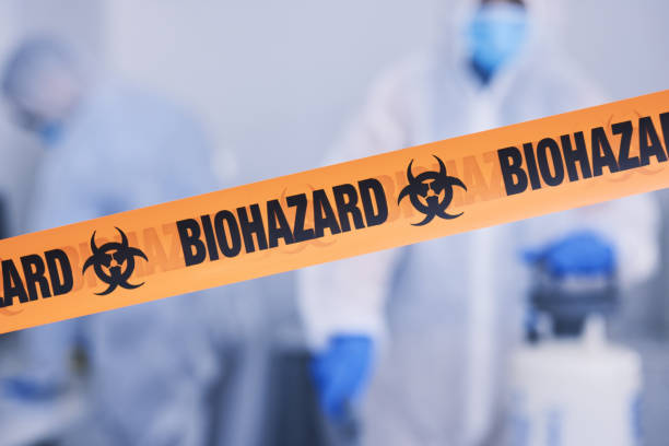 Professional Odor Removal technician working in Lambertville, MI